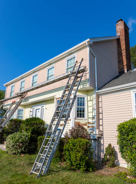 Best Shed Removal  in Greenville, NC